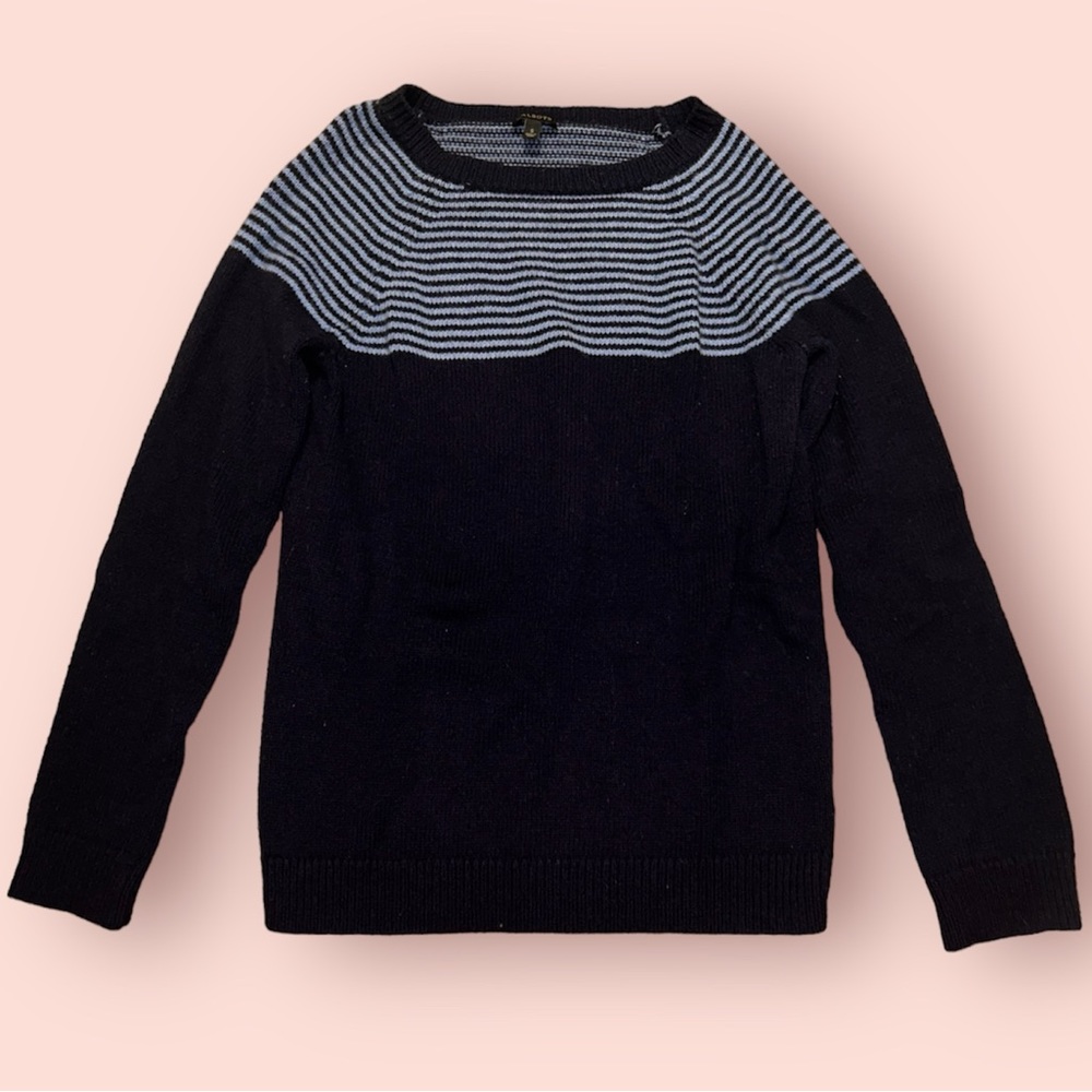 Navy blue and light blue Talbots sweater.